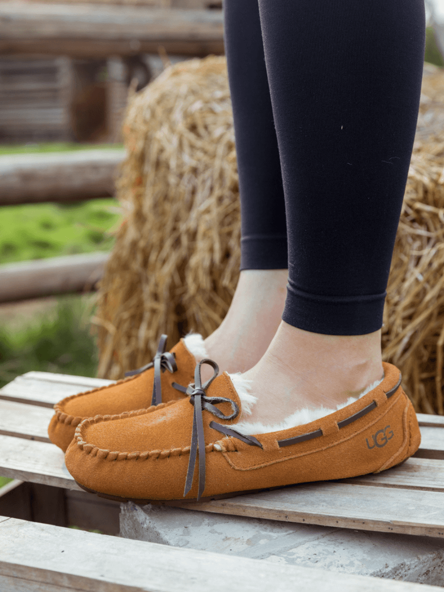 SMAIBULUN Ugg | WOOL LINED SUEDE MOCCASIN - CHESTNUT display picture 3