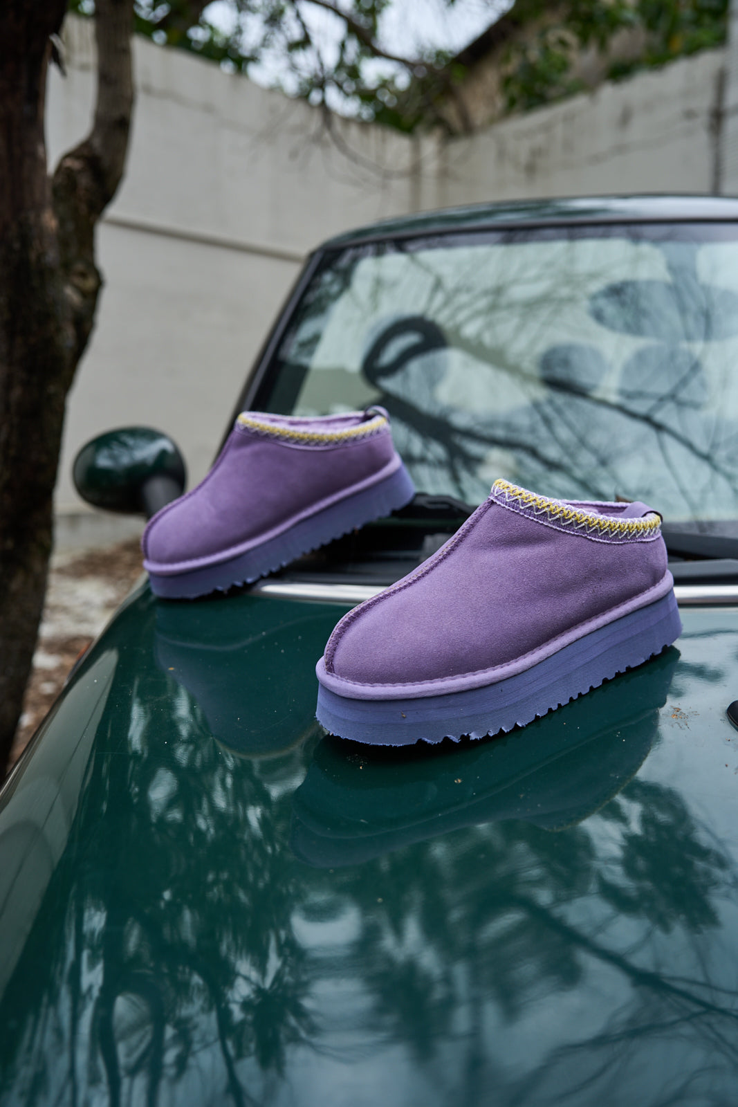 Smaibulun Ugg | Tassie X Tasman Platform Slipper Boot - Lavender